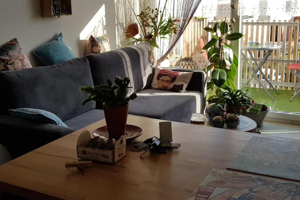 Appartement Complet Et Parking Protege La Teste-de-Buch Eksteriør bilde